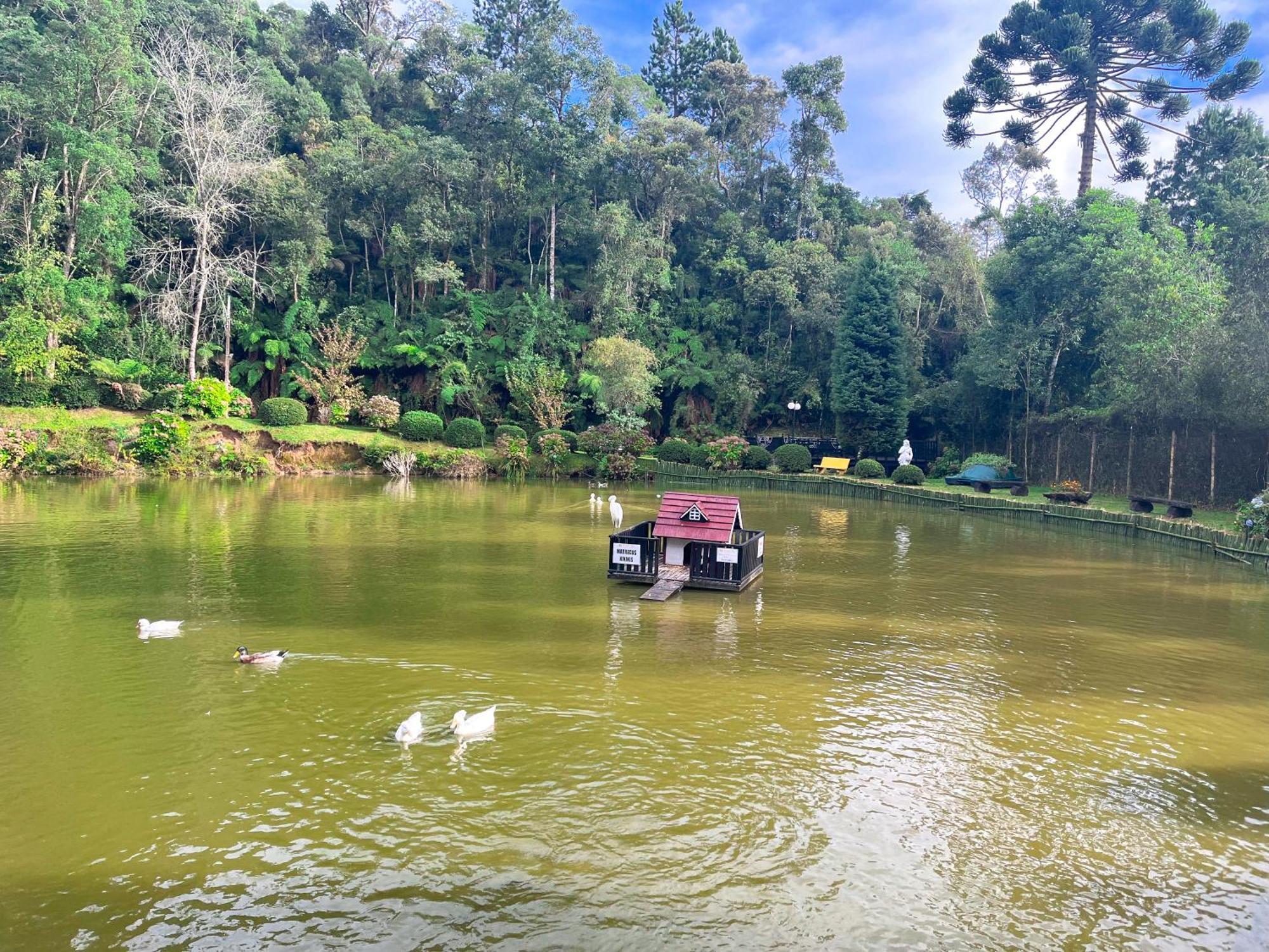 Hotel Fazenda Golden Park Campos do Jordão Zewnętrze zdjęcie